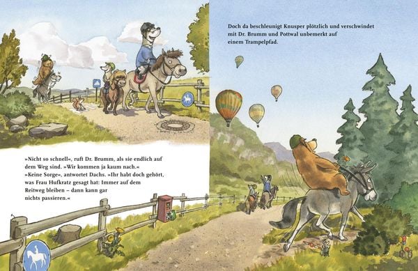 Dr. Brumm: Dr. Brumm auf dem Ponyhof