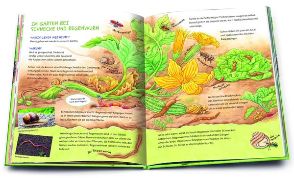 Geh hinaus und entdecke … Die Tiere in deiner Umgebung