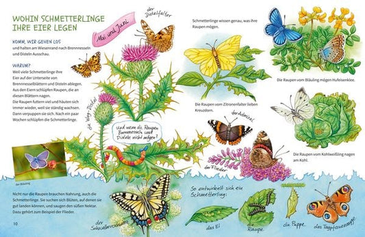 Geh hinaus und entdecke. Tiere und Pflanzen auf Feld und Wiese