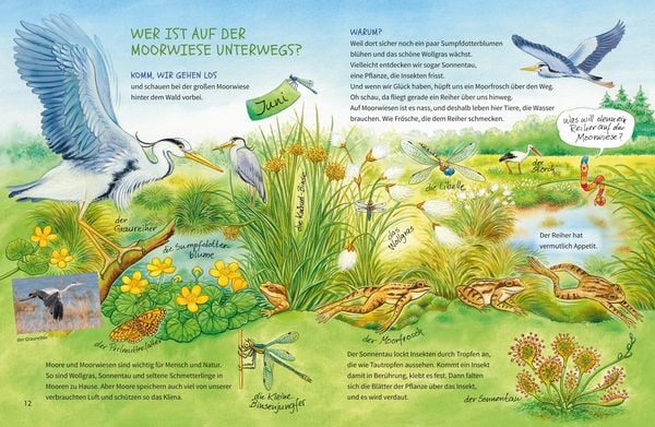 Geh hinaus und entdecke. Tiere und Pflanzen auf Feld und Wiese