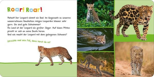Hör mal rein, wer kann das sein? Im Dschungel