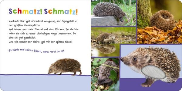 Hör mal rein, wer kann das sein? - Im Garten
