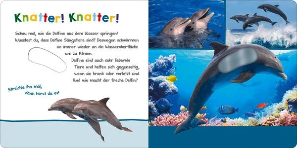 Hör mal rein, wer kann das sein? - Im Ozean