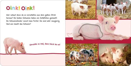Hör mal rein, wer kann das sein? - Im Stall