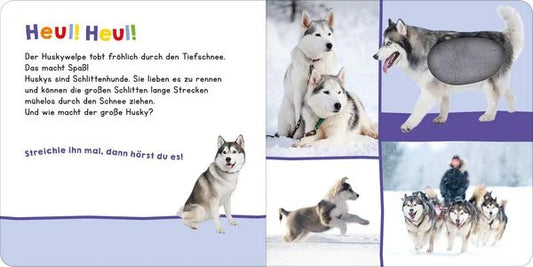 Hör mal rein, wer kann das sein? – Im Winter