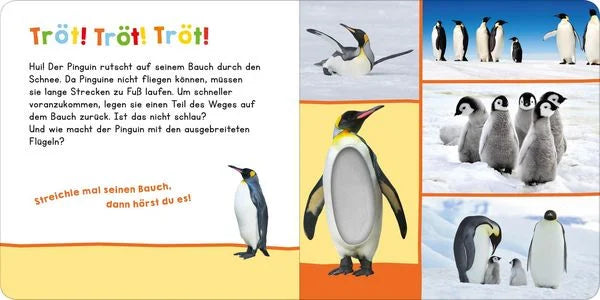 Hör mal rein, wer kann das sein? – Im Winter