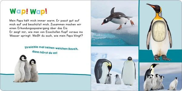 Hör mal rein, wer kann das sein? - Mein Papa