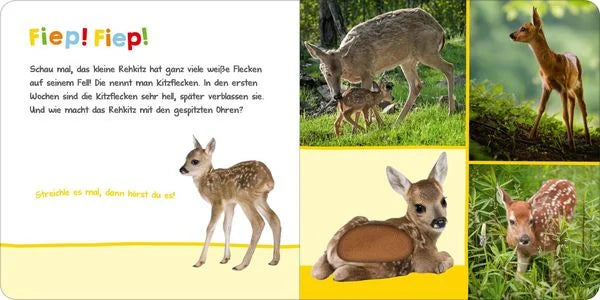 Hör mal rein, wer kann das sein? - Tierbabys