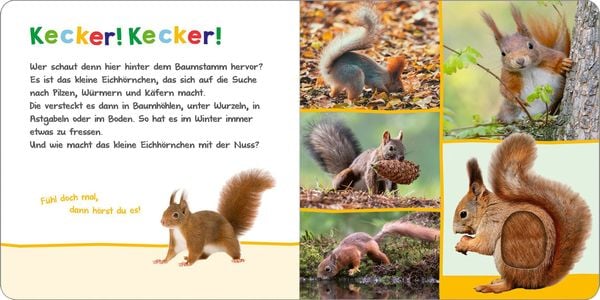 Hör mal rein, wer kann das sein? - Tiere im Herbst