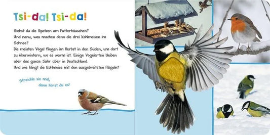 Hör mal rein, wer kann das sein? - Winter im Wald