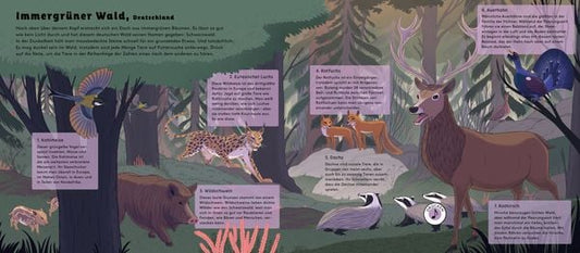 Hörst du die Tiere im Wald?