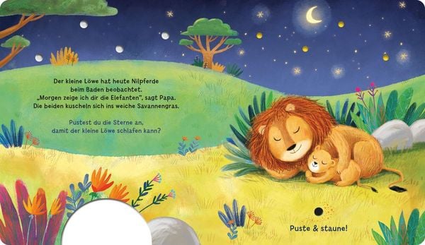 Mein Puste-Licht-Buch: Schlaf schön, kleiner Schatz!