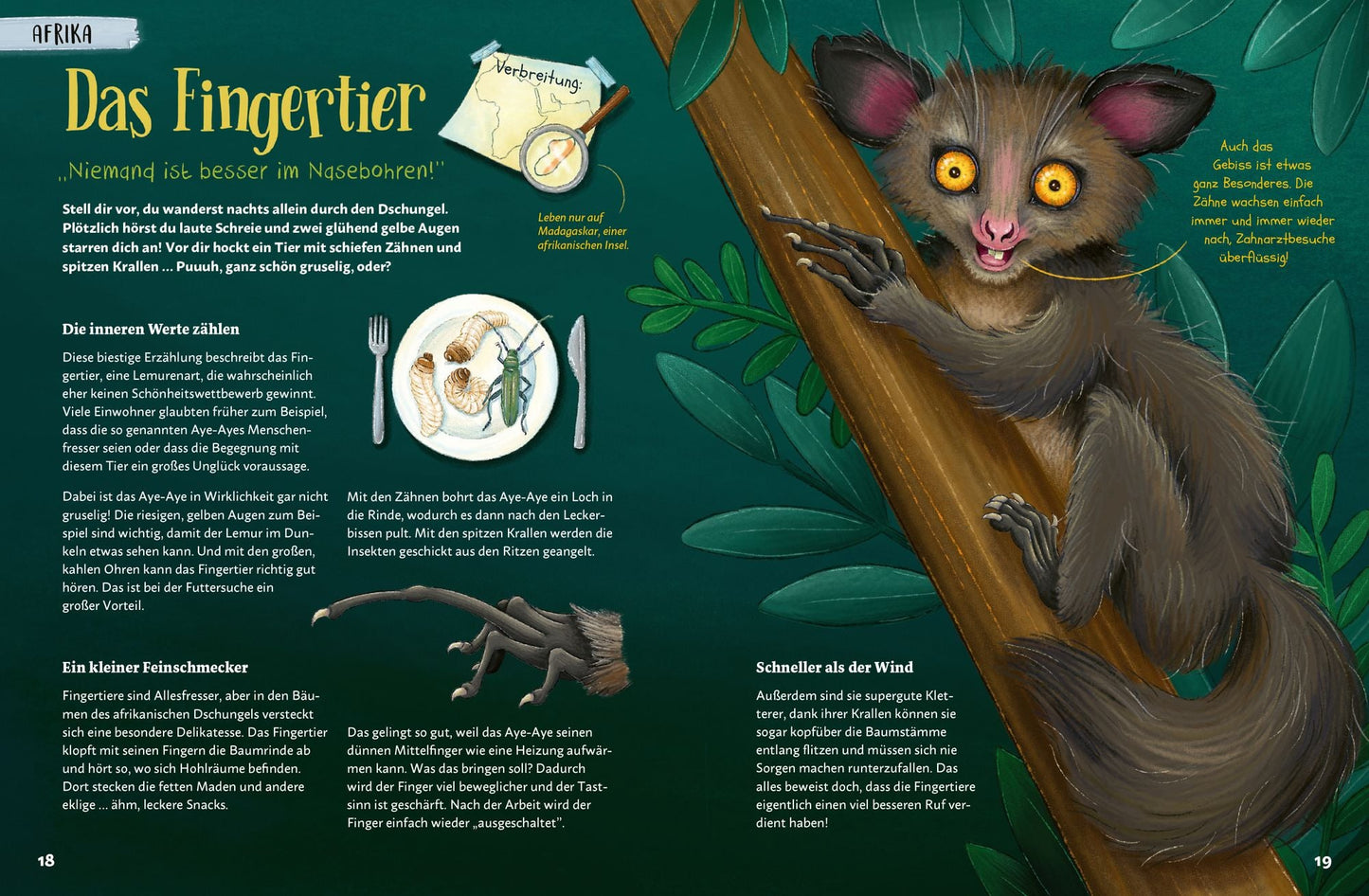 Stacheln, Schleim & spitze Zähne! Mein Bestiarium der außergewöhnlichen Tiere