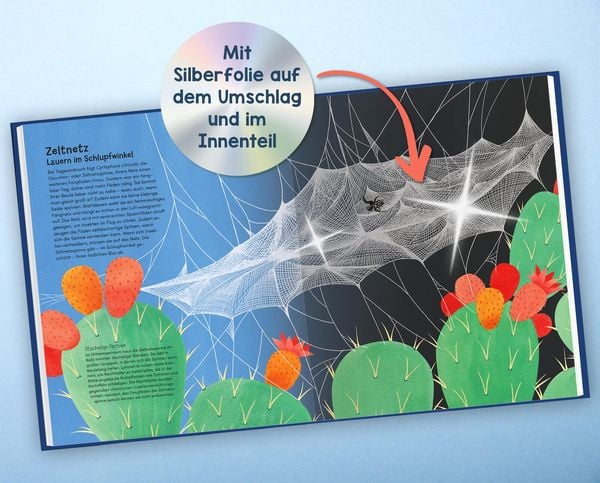 Wunderwelt der Spinnennetze