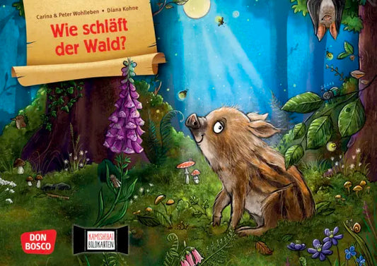 Wie schläft der Wald? Kamishibai Bildkartenset