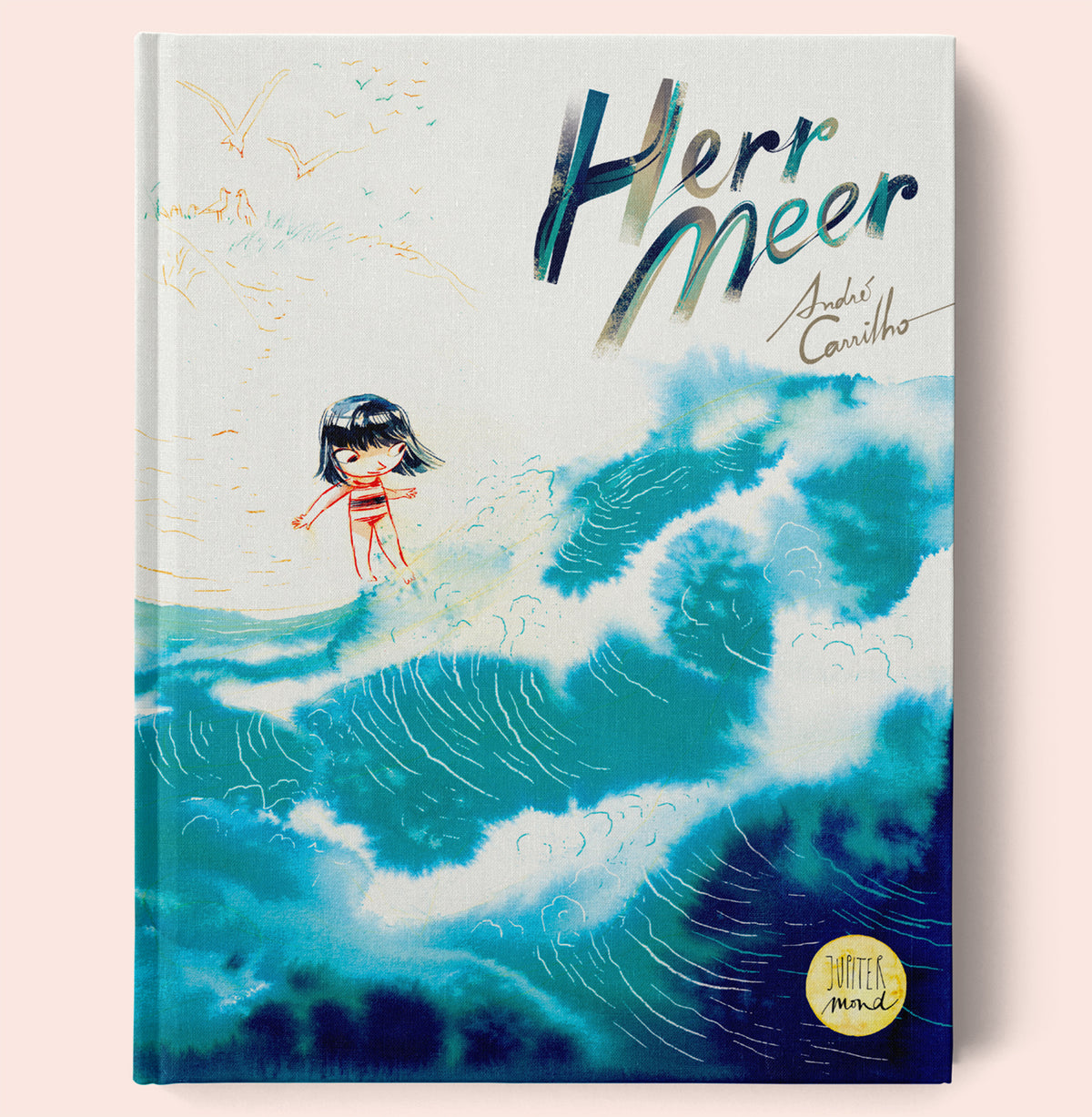 Herr Meer