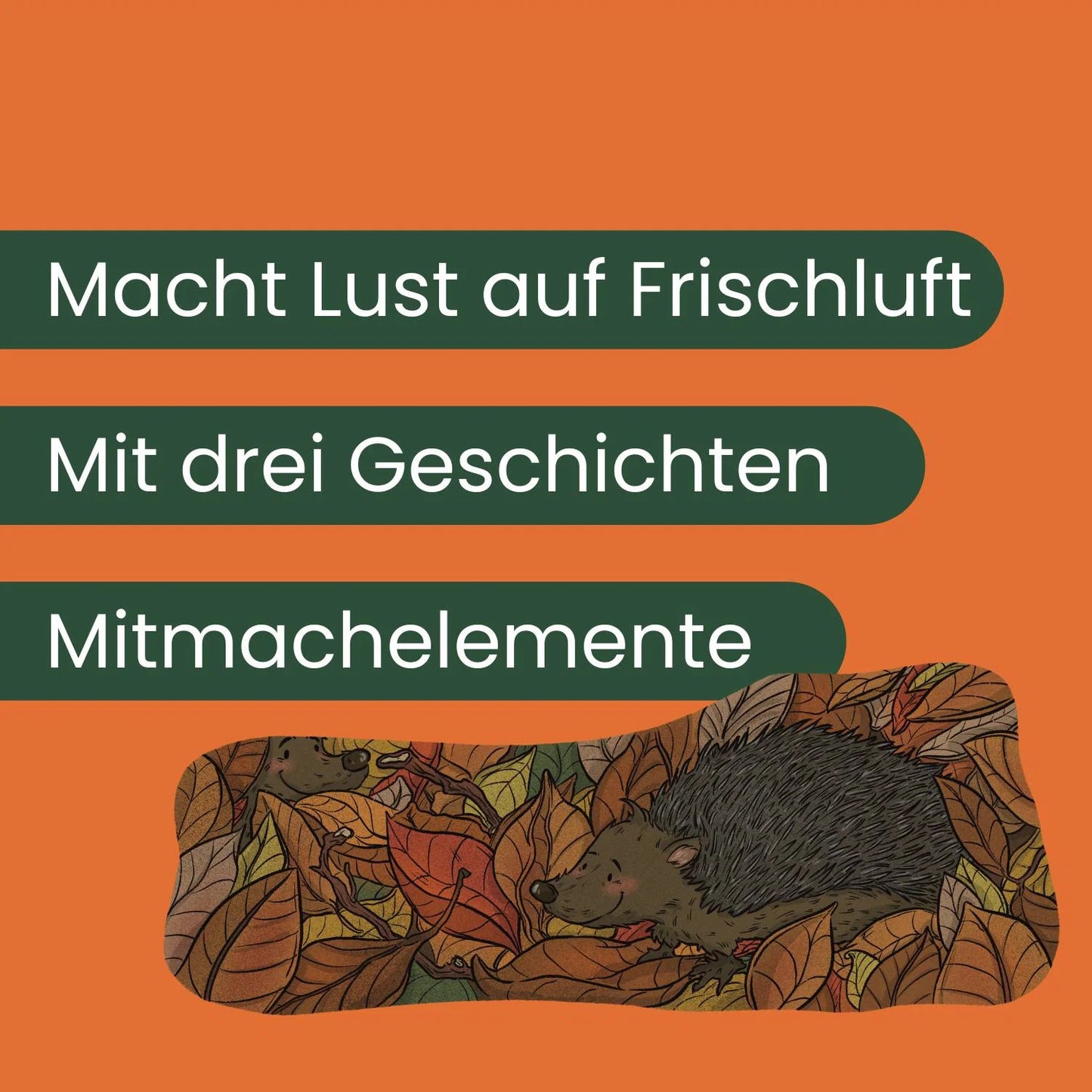 Felia Fuchs - Draußen unterwegs (Band 3)