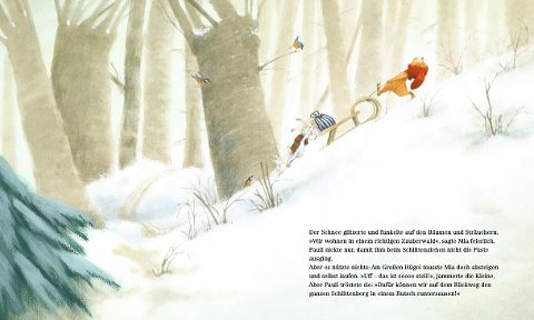 Pauli. Der große Schnee