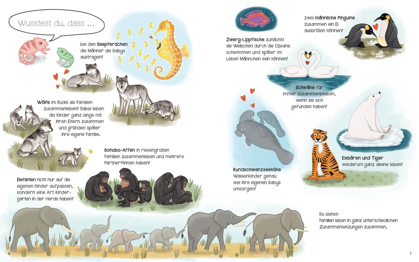 Ach, das ist Familie?!