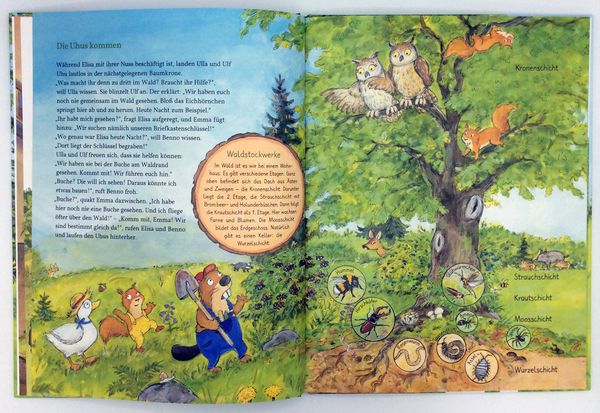 Benno Biber. Das große Waldabenteuer