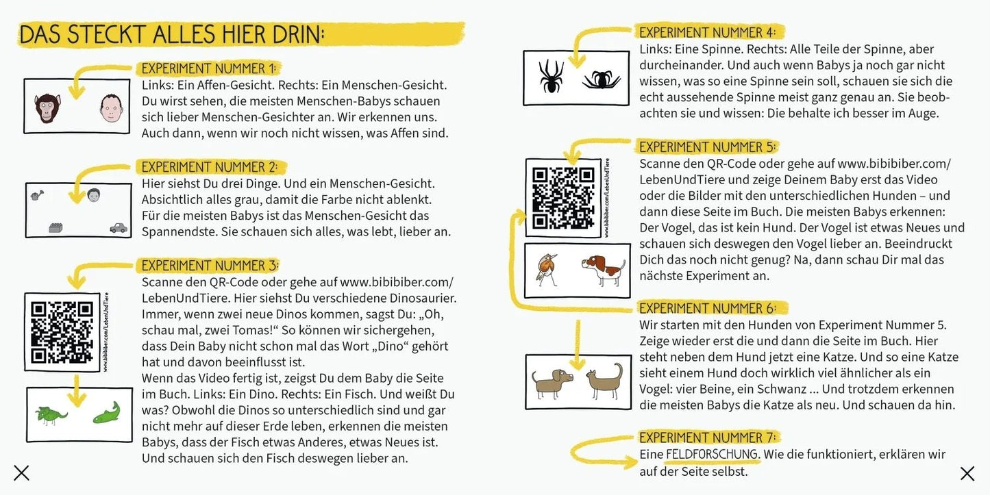 BiBiBiber hat da mal 'ne Frage. Warum können Babys nix? Leben & Tiere