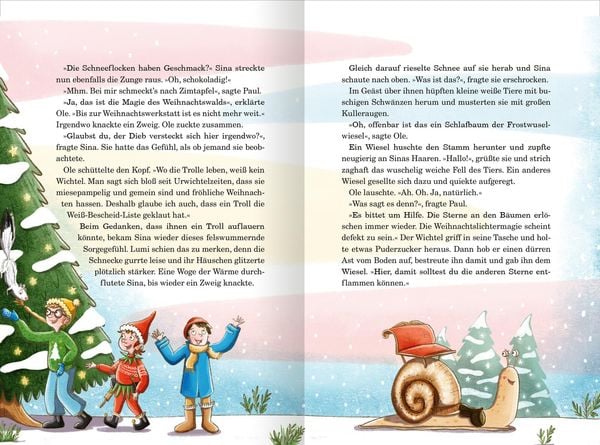 Das Geheimnis des Winterwichtels