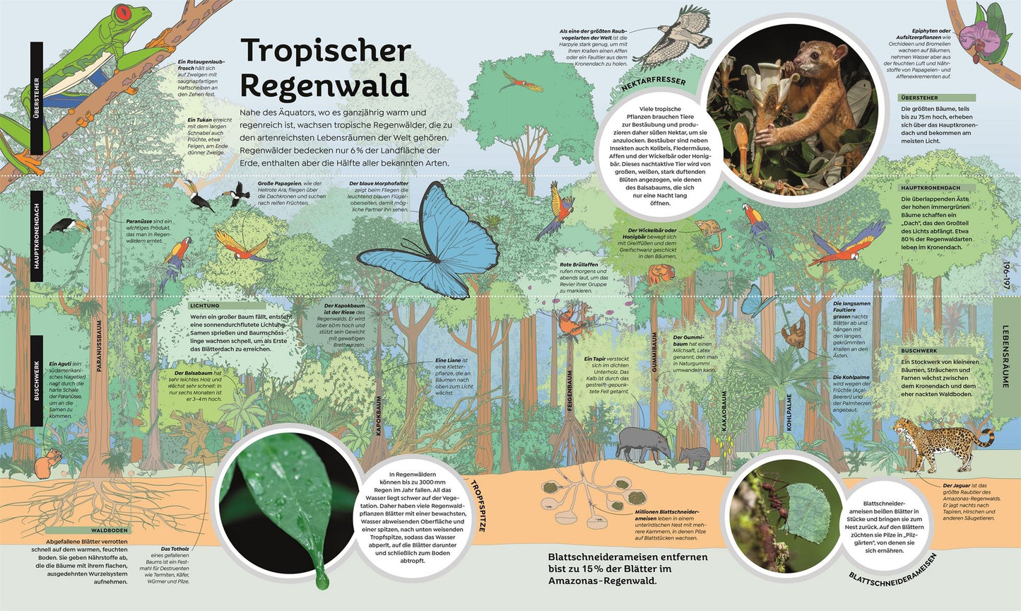 Das große Buch von Allem