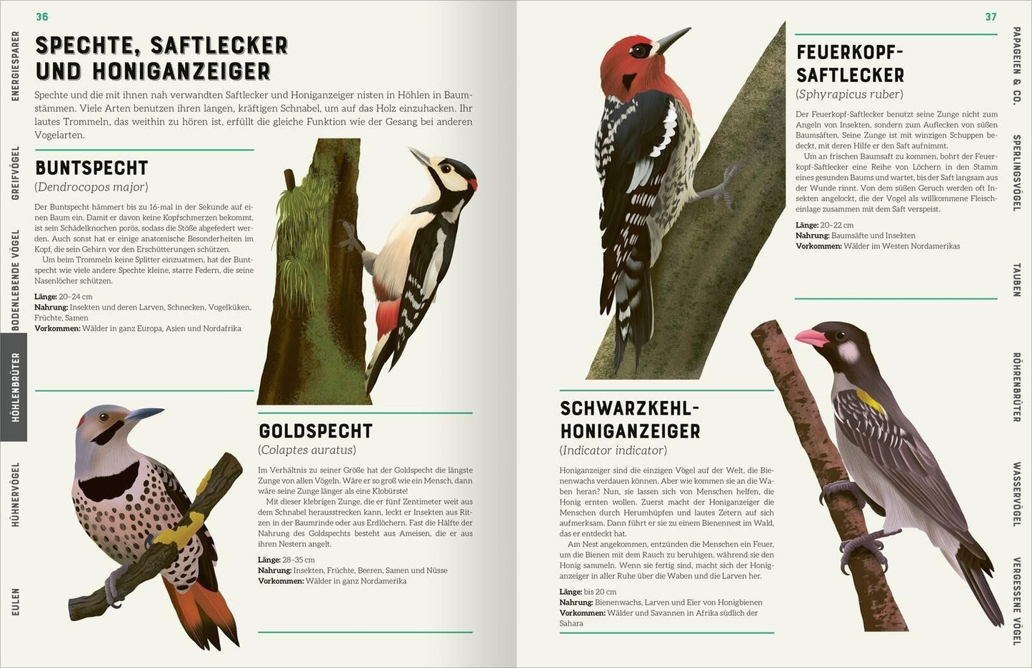 Das große Lexikon der Vögel