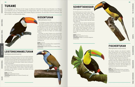 Das große Lexikon der Vögel