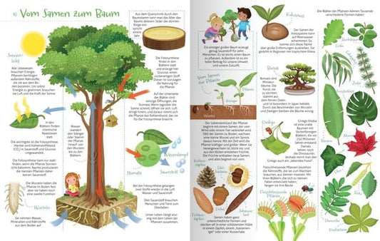 Das will ich alles wissen! - Mein buntes Bilderlexikon