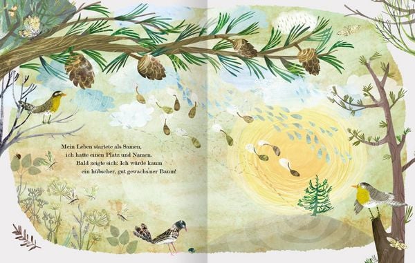 Der Weihnachtsbaum, den niemand wollte