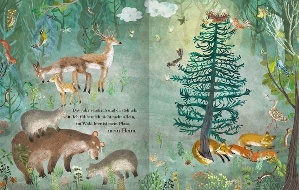 Der Weihnachtsbaum, den niemand wollte