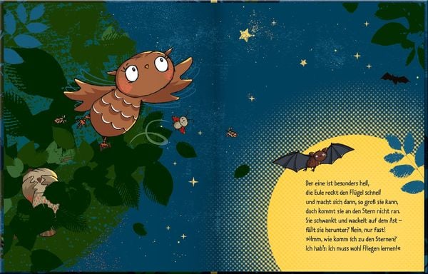 Die kleine Eule fliegt zu den Sternen