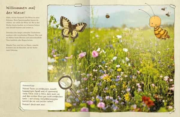 Die kleine Hummel Bommel entdeckt die Wiese