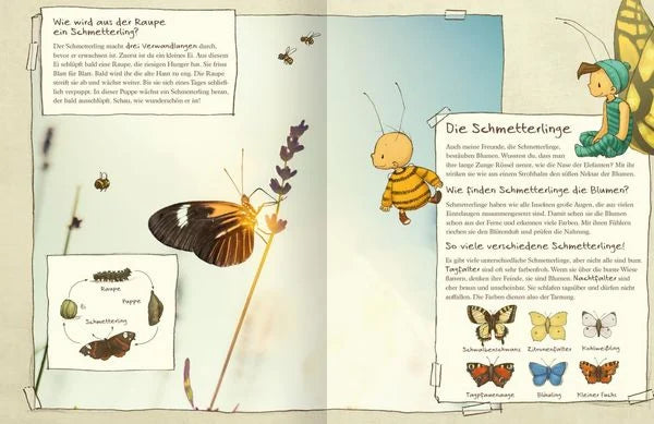 Die kleine Hummel Bommel entdeckt die Wiese