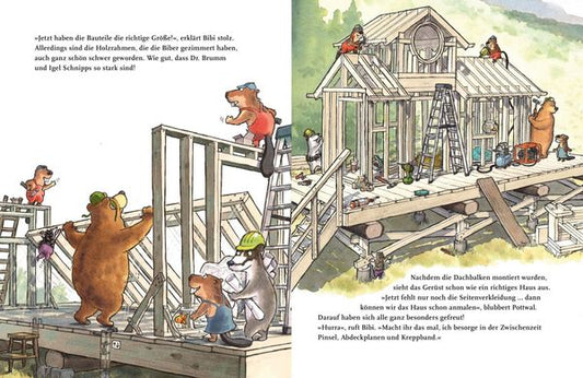 Dr. Brumm: Dr. Brumm baut ein Haus