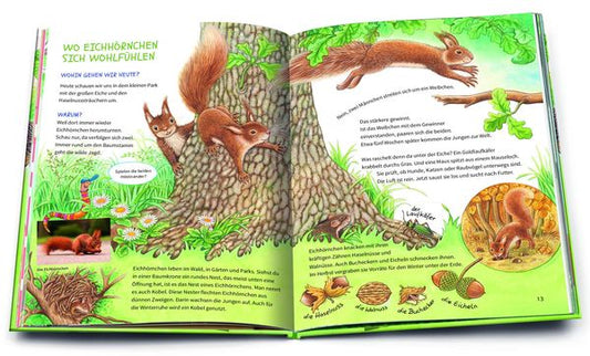 Geh hinaus und entdecke … Die Tiere in deiner Umgebung