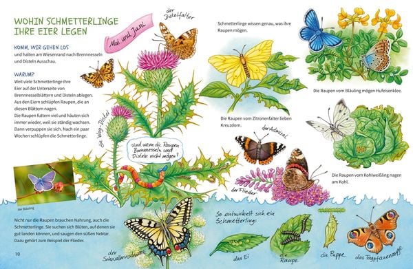 Geh hinaus und entdecke. Tiere und Pflanzen auf Feld und Wiese