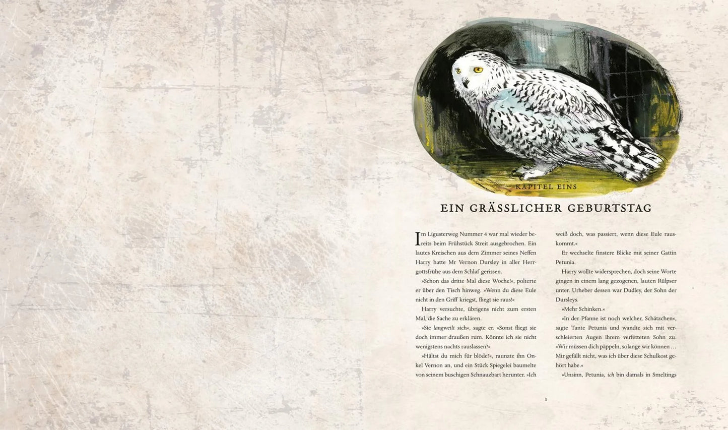 Harry Potter 2 und die Kammer des Schreckens. Schmuckausgabe