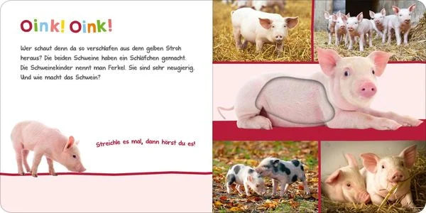 Hör mal rein, wer kann das sein? - Im Stall