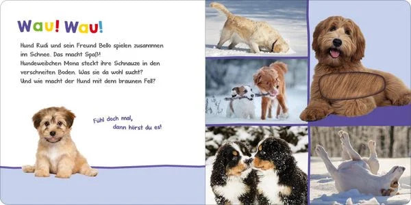 Hör mal rein, wer kann das sein? - Kleine Tiere im Schnee