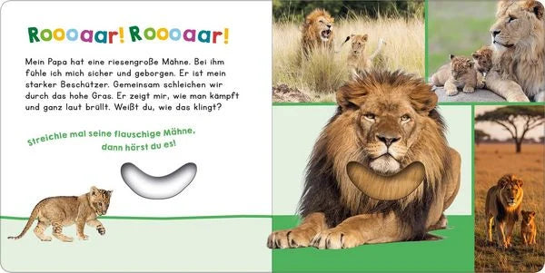 Hör mal rein, wer kann das sein? - Mein Papa