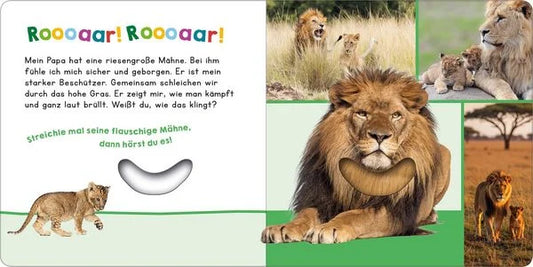 Hör mal rein, wer kann das sein? - Mein Papa