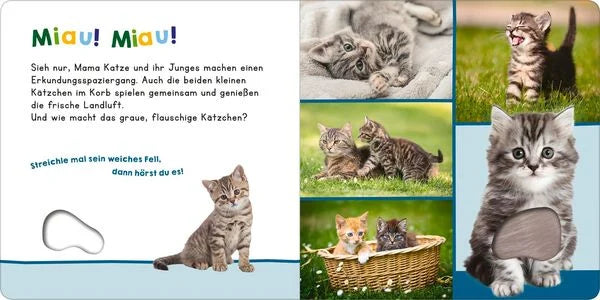 Hör mal rein, wer kann das sein? - Meine ersten Tiere