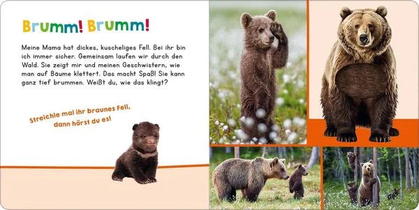 Hör mal rein, wer kann das sein? - Meine Mama