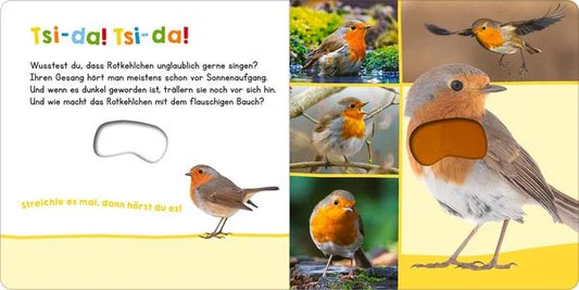 Hör mal rein, wer kann das sein? - Vögel