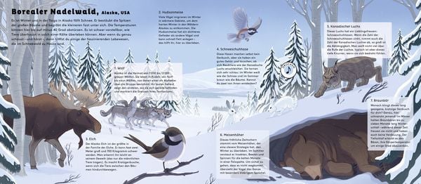 Hörst du die Tiere im Wald?