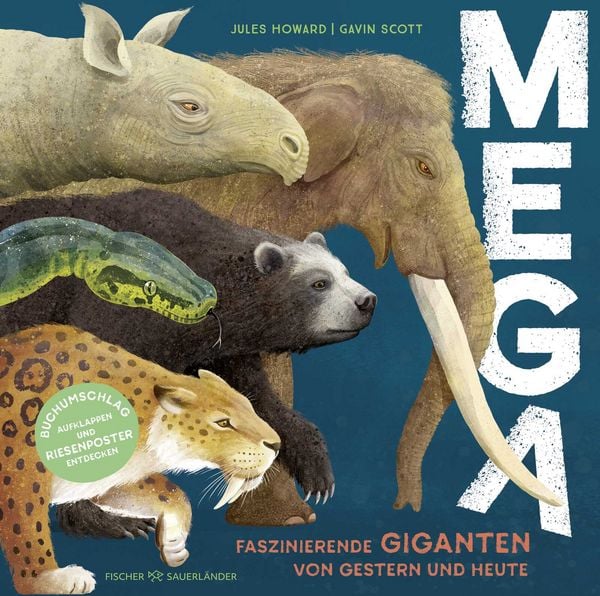 MEGA
