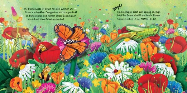 Mein erstes Pop-up-Buch: Die Jahreszeiten