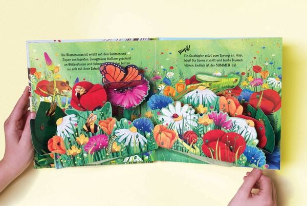 Mein erstes Pop-up-Buch: Die Jahreszeiten